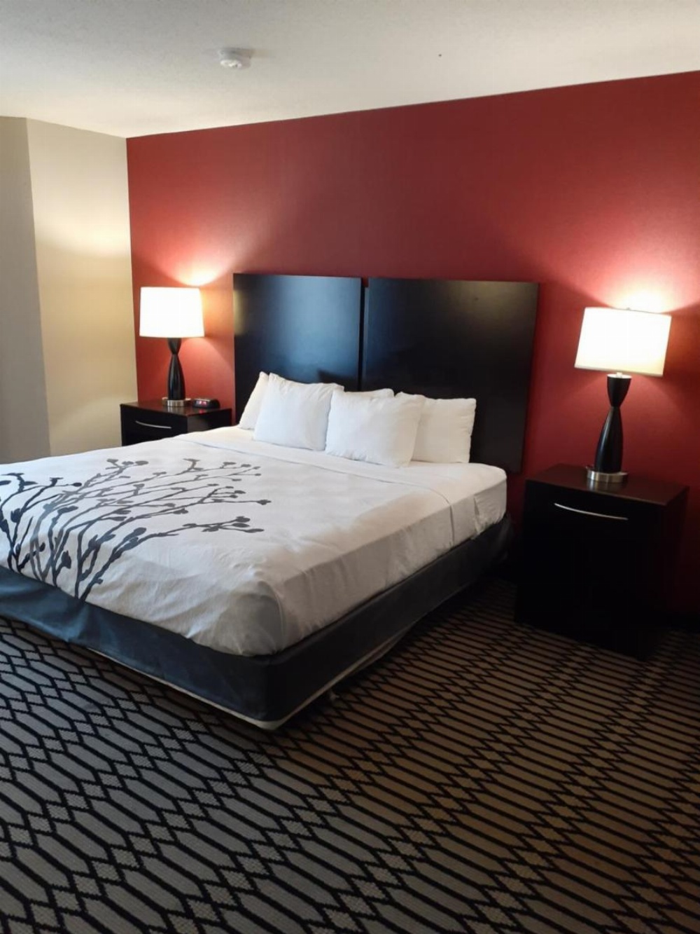 Sleep Inn & Suites BWI Airport